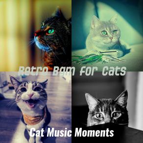 Download track Excellent Ambience For Training Your Cat Cat Music Moments