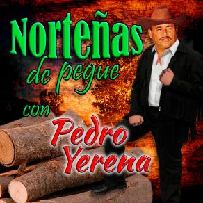 Download track Mis Ojos Me Denuncian Pedro Yerena