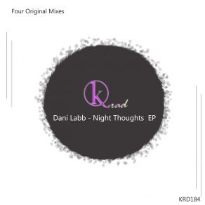 Download track Night Thoughts (Original Mix) Dani Labb