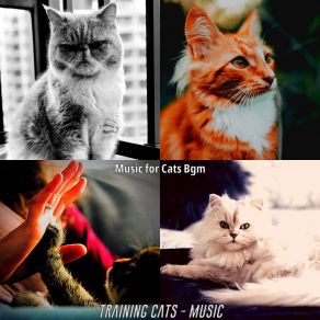 Download track Kittens - Dreams Music For Cats Bgm