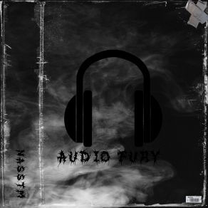 Download track Audio Fury Nasstm