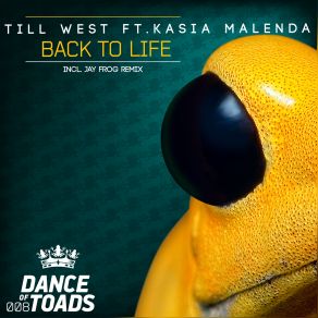 Download track Back To Life (Original Mix) Till West, Kasia Malenda