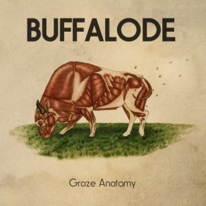 Download track Graze Anatomy Buffalode