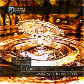 Download track Amazing This World Rob Hilgen