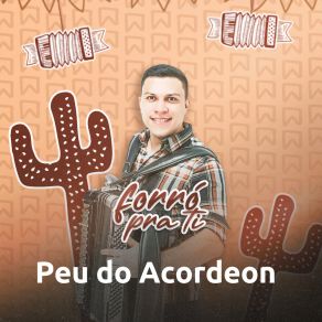 Download track Por Que Não Vê / Razões / Verdadeiro Amor Peu Do Acordeon