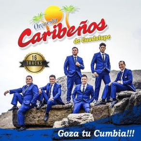 Download track Vivo Por Tu Amor Orquesta Caribeños De Guadalupe