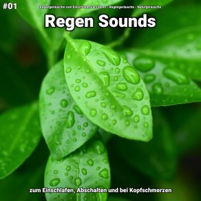 Download track Regen Sounds, Pt. 88 Naturgeräusche