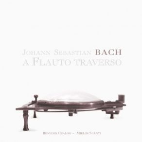 Download track 14 Sonata In B Minor BWV 1030 - III. Presto Johann Sebastian Bach