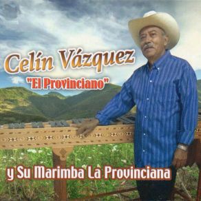 Download track Que Buena Estas Su Marimba La Provinciana