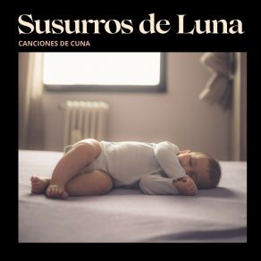 Download track Lágrima De Luna Canciones De Cuna