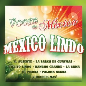 Download track No Volveré Voces De Mexico