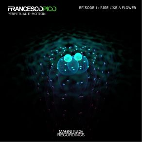 Download track Rise Like A Flower Francesco Pico