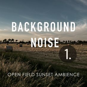 Download track Open Field Sunset Ambience, Pt. 3 Thomas O'Reilly