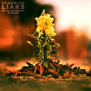 Download track Disco Elvis Charming Liars