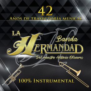 Download track Danzones 100% Mexicanos Banda La Hermandad