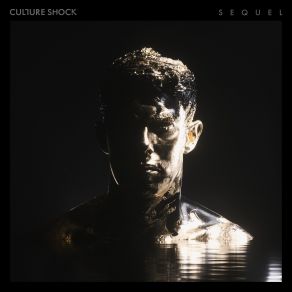 Download track Airplane (Culture Shock Remix) Culture ShockSub Focus