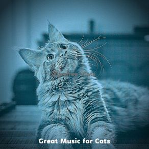 Download track Ambience (Cats) Great Music For CatsThe Cats