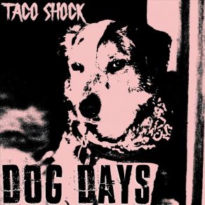 Download track Wine, Dine, & 69 Taco Shock