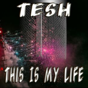 Download track You Can Not Escape Us Tesh