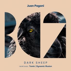 Download track Dark Sheep (Tomic Remix) Juan Pagani