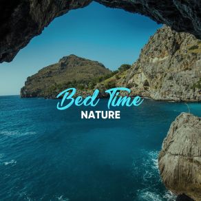 Download track Gentle Ocean Birds Play Rainforest AmbienceRelaxation, Nature Sounds For Sleep, Sea Ambience