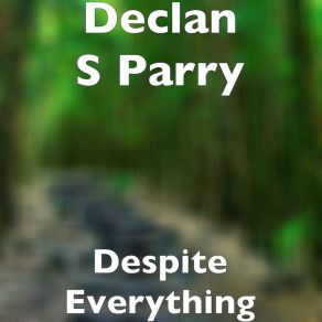 Download track Despite Everything Declan S Parry