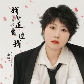 Download track 我知道你从没爱过我 (女版, DJBanan版) 南昭Banan