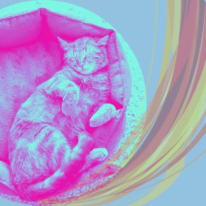 Download track Background For Cute Kitten Music For Cats