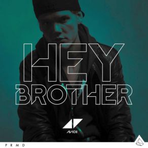 Download track Hey Brother (Syn Cole Remix) Dan Tyminski, Avicii