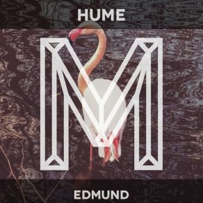 Download track 5th Floor (Ben Gomori's Elevated Remix) Hume