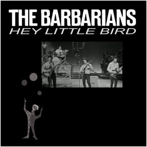 Download track Hey Little Bird (Stereo Alt. Mix) Barbarians