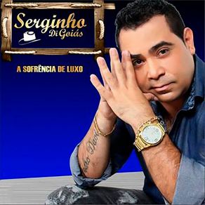 Download track Vou Pagar Pra Ver Serginho Di Goiás