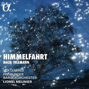 Download track Bach: Auf Christi Himmelfahrt Allein, BWV 128: III. Aria & Recitative 