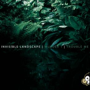 Download track Trouble Me (Original Mix) Invisible Landscape