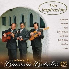 Download track Una Lagrima En La Garganta TRIO INSPIRACION