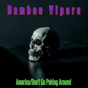 Download track America Bamboo Vipers