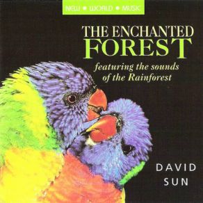 Download track Enchanted Forest (A) David Sun