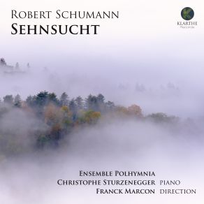 Download track Romanzen Für Frauenstimmen Vol. II, Op. 91: No. 3, Der Wassermann Christophe SturzeneggerEnsemble Polhymnia