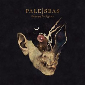 Download track My Own Mind Pale Seas