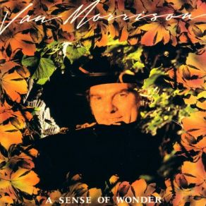 Download track Let The Slave Incorporating The Price Of Experience Van Morrison