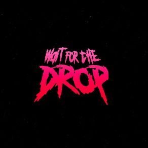 Download track Wait For The Drop 0to8