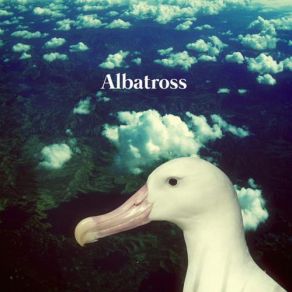 Download track I Don't Know Albatross