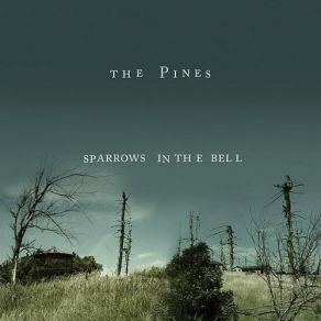 Download track Without A Kiss The Pines