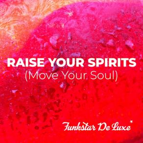 Download track Raise Your Spirits (Move Your Soul) (Extended Mix) Funkstar De Luxe