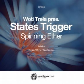 Download track Spinning Ether (Monje Remix) Woti Trela, States Trigger