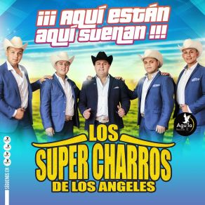 Download track Paloma Blanca Los Súper Charros De Los Ángeles