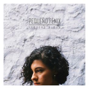 Download track No Suena Como América Pequeño Fénix