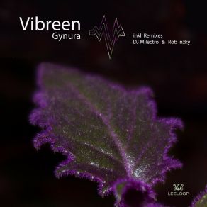 Download track Gynura (Rob Inzky Remix) Vibreen