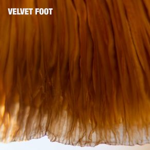 Download track Funk Mustard Velvet Foot