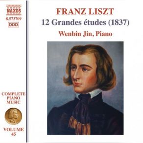 Download track Grandes Études, S. 137 No. 6 In G Minor Largo Patetico Wenbin Jin